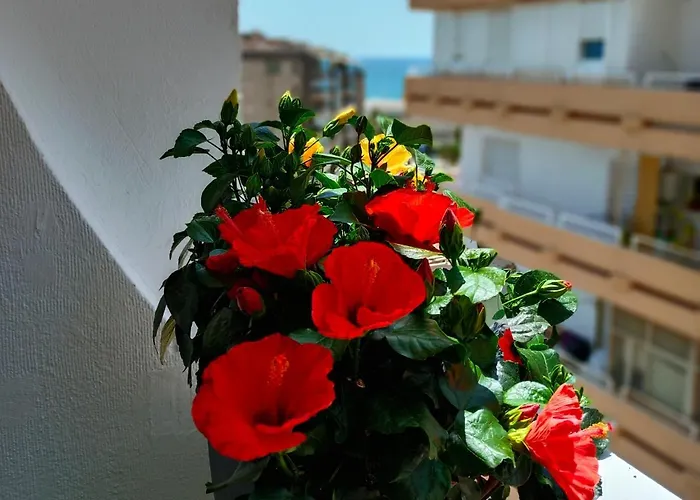 Rentaly Holidays Apartamento Artes De Arcos Almeria